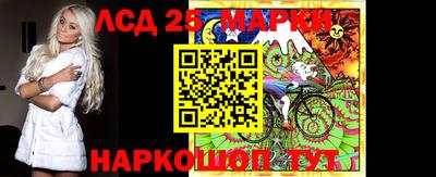 крисы Пенза