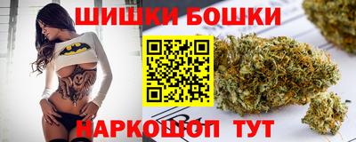 крисы Пенза