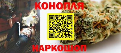 крисы Пенза