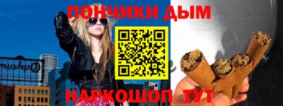 крисы Пенза