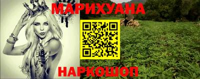 крисы Пенза