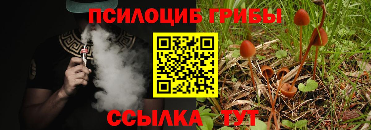 Галлюциногенные грибы MAGIC MUSHROOMS  купить наркотики цена  Соль-Илецк  Вход с VPN 